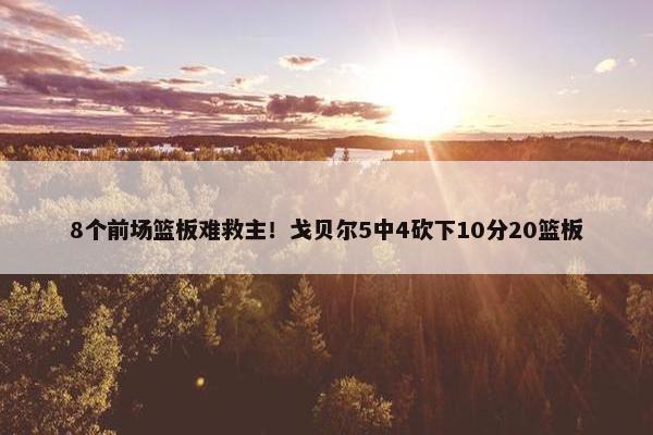 8个前场篮板难救主！戈贝尔5中4砍下10分20篮板