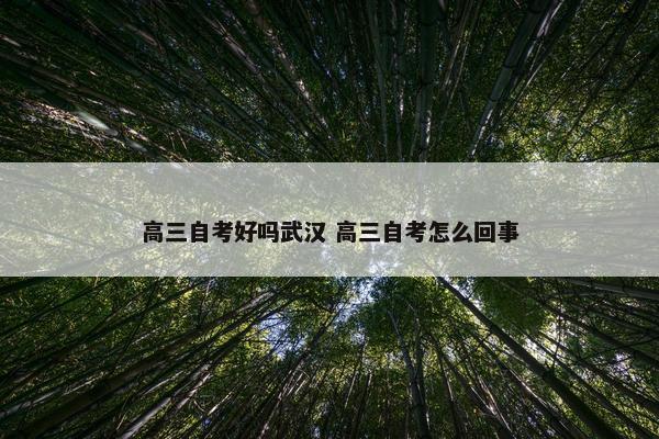 高三自考好吗武汉 高三自考怎么回事