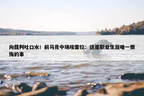 向裁判吐口水！前马竞中场埃雷拉：这是职业生涯唯一懊悔的事