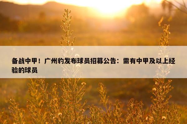 备战中甲！广州豹发布球员招募公告：需有中甲及以上经验的球员