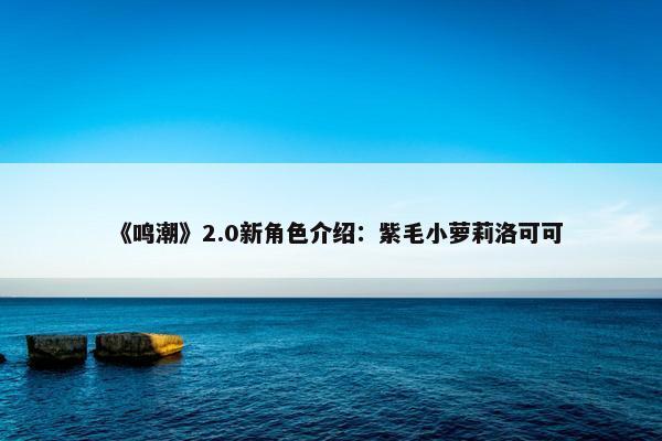 《鸣潮》2.0新角色介绍：紫毛小萝莉洛可可