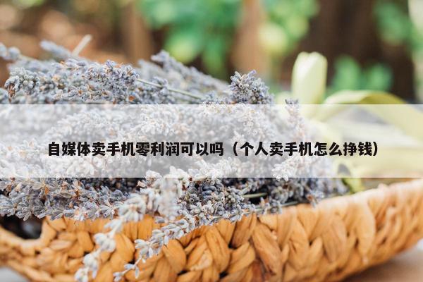 自媒体卖手机零利润可以吗（个人卖手机怎么挣钱）