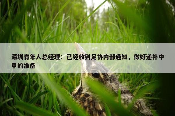 深圳青年人总经理：已经收到足协内部通知，做好递补中甲的准备