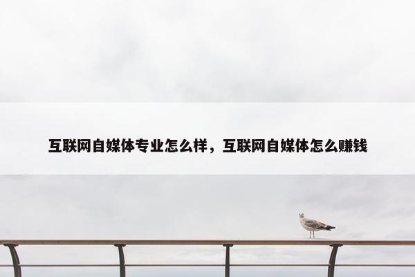 互联网自媒体专业怎么样，互联网自媒体怎么赚钱