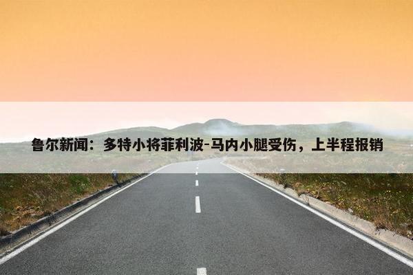 鲁尔新闻：多特小将菲利波-马内小腿受伤，上半程报销