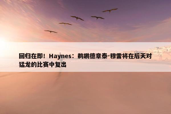 回归在即！Haynes：鹈鹕德章泰-穆雷将在后天对猛龙的比赛中复出