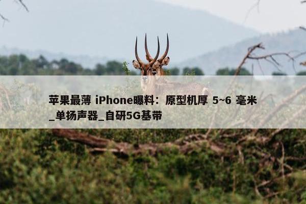 苹果最薄 iPhone曝料：原型机厚 5~6 毫米_单扬声器_自研5G基带