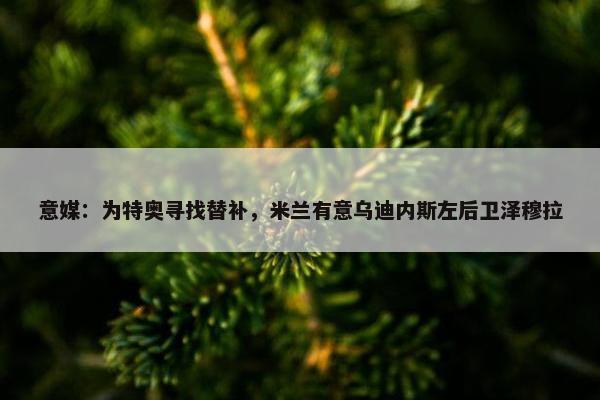 意媒：为特奥寻找替补，米兰有意乌迪内斯左后卫泽穆拉