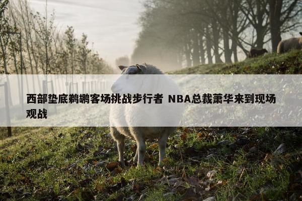 西部垫底鹈鹕客场挑战步行者 NBA总裁萧华来到现场观战