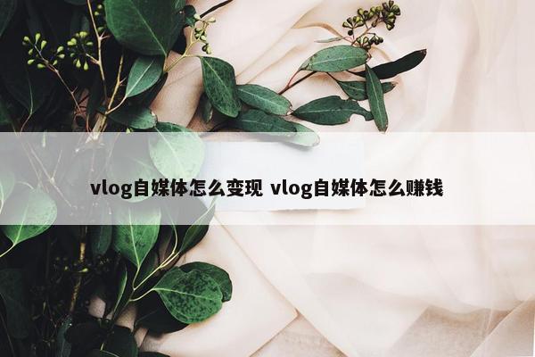 vlog自媒体怎么变现 vlog自媒体怎么赚钱