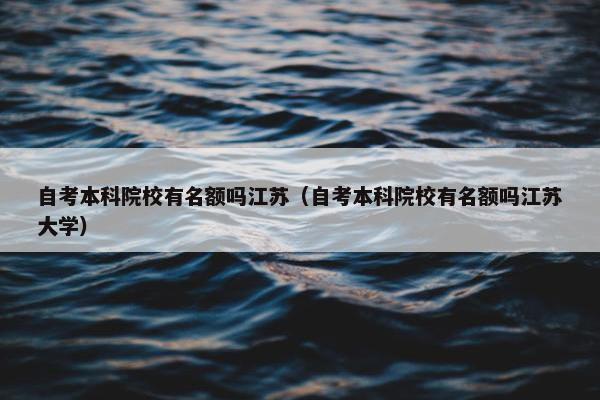 自考本科院校有名额吗江苏（自考本科院校有名额吗江苏大学）