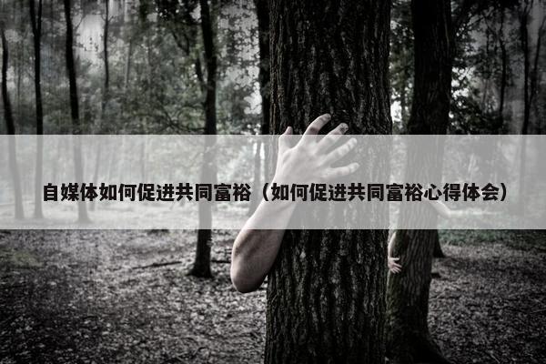 自媒体如何促进共同富裕（如何促进共同富裕心得体会）