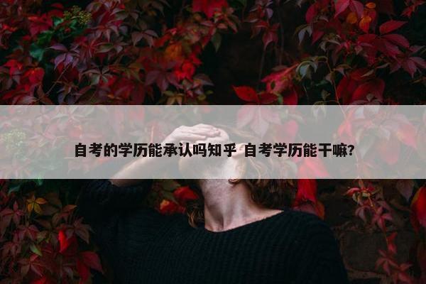 自考的学历能承认吗知乎 自考学历能干嘛?