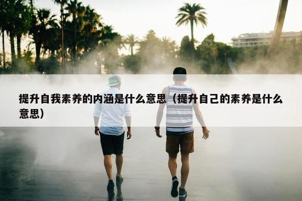 提升自我素养的内涵是什么意思（提升自己的素养是什么意思）