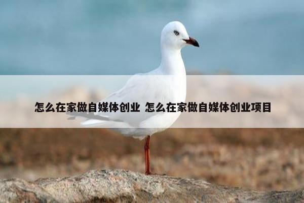 怎么在家做自媒体创业 怎么在家做自媒体创业项目