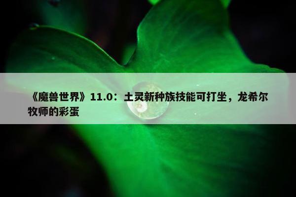 《魔兽世界》11.0：土灵新种族技能可打坐，龙希尔牧师的彩蛋