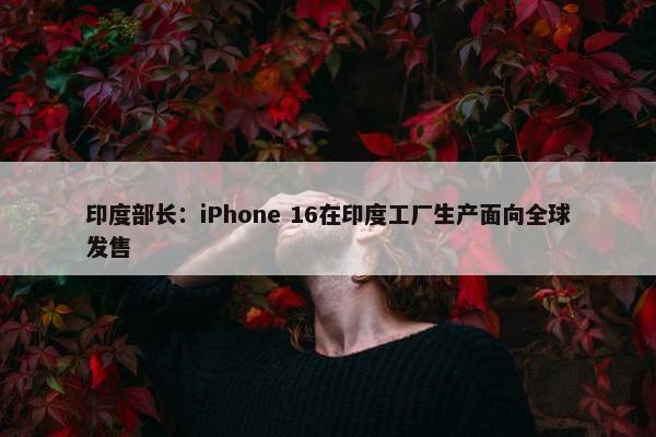 印度部长：iPhone 16在印度工厂生产面向全球发售