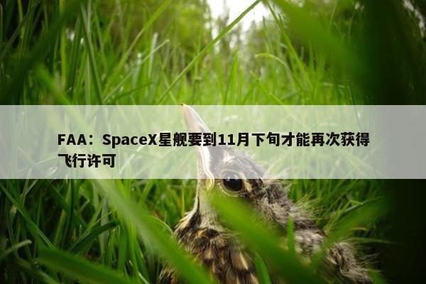 FAA：SpaceX星舰要到11月下旬才能再次获得飞行许可