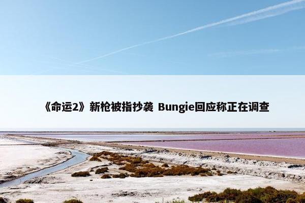 《命运2》新枪被指抄袭 Bungie回应称正在调查