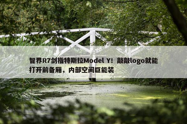 智界R7剑指特斯拉Model Y！敲敲logo就能打开前备厢，内部空间巨能装