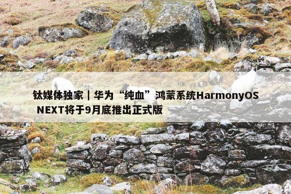 钛媒体独家｜华为“纯血”鸿蒙系统HarmonyOS NEXT将于9月底推出正式版