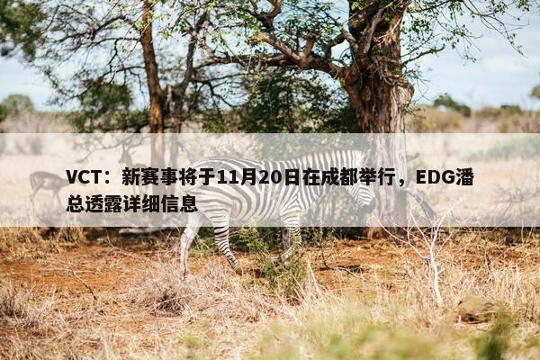 VCT：新赛事将于11月20日在成都举行，EDG潘总透露详细信息