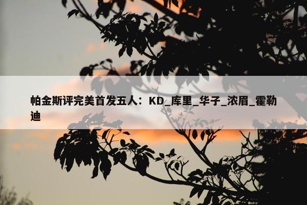 帕金斯评完美首发五人：KD_库里_华子_浓眉_霍勒迪