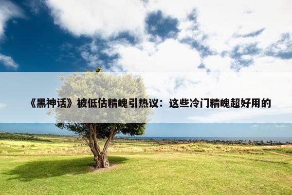 《黑神话》被低估精魄引热议：这些冷门精魄超好用的