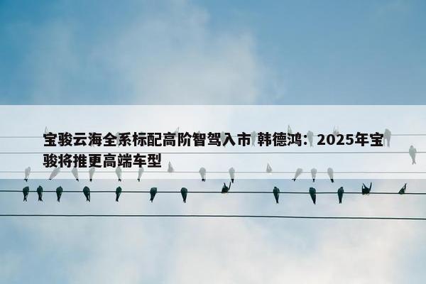 宝骏云海全系标配高阶智驾入市 韩德鸿：2025年宝骏将推更高端车型