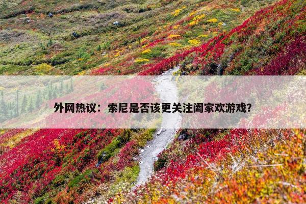 外网热议：索尼是否该更关注阖家欢游戏？