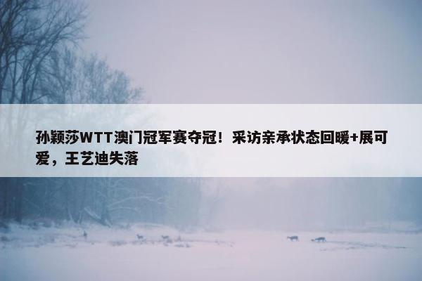 孙颖莎WTT澳门冠军赛夺冠！采访亲承状态回暖+展可爱，王艺迪失落