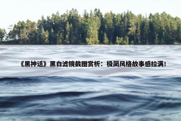 《黑神话》黑白滤镜截图赏析：极简风格故事感拉满！