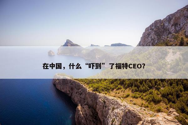 在中国，什么“吓到”了福特CEO？