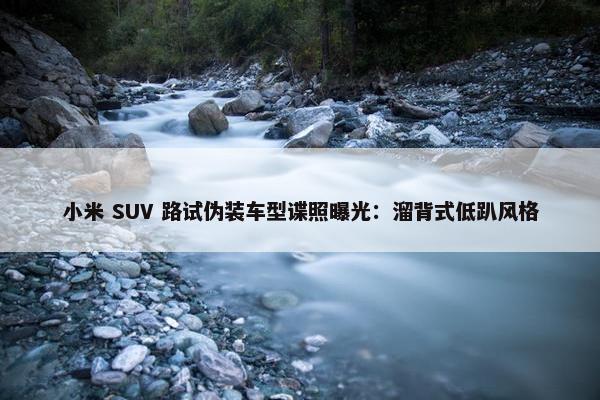 小米 SUV 路试伪装车型谍照曝光：溜背式低趴风格