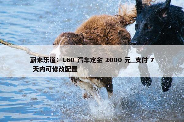 蔚来乐道：L60 汽车定金 2000 元_支付 7 天内可修改配置