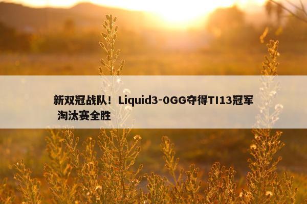 新双冠战队！Liquid3-0GG夺得TI13冠军 淘汰赛全胜