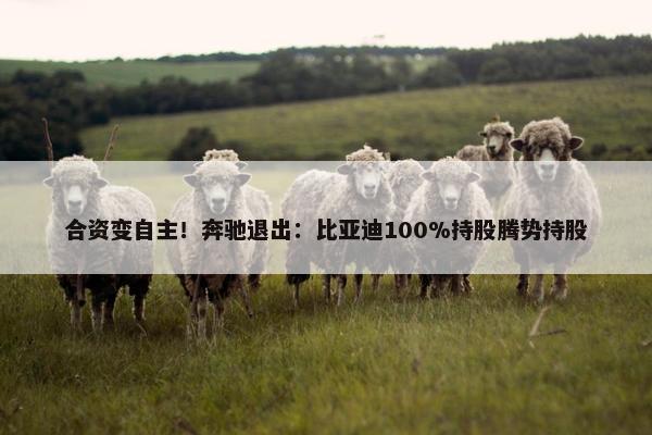 合资变自主！奔驰退出：比亚迪100%持股腾势持股