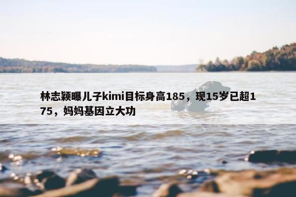 林志颖曝儿子kimi目标身高185，现15岁已超175，妈妈基因立大功