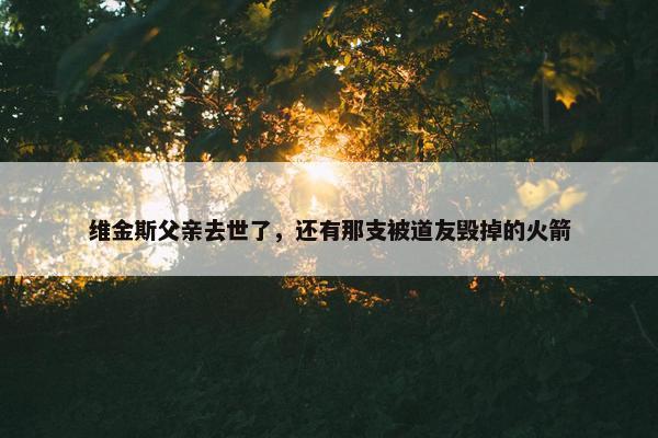 维金斯父亲去世了，还有那支被道友毁掉的火箭