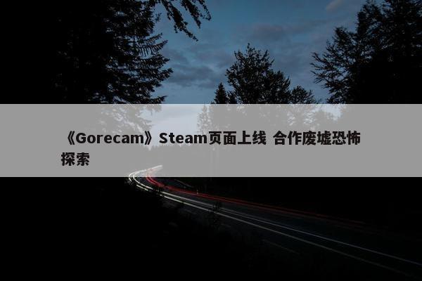 《Gorecam》Steam页面上线 合作废墟恐怖探索