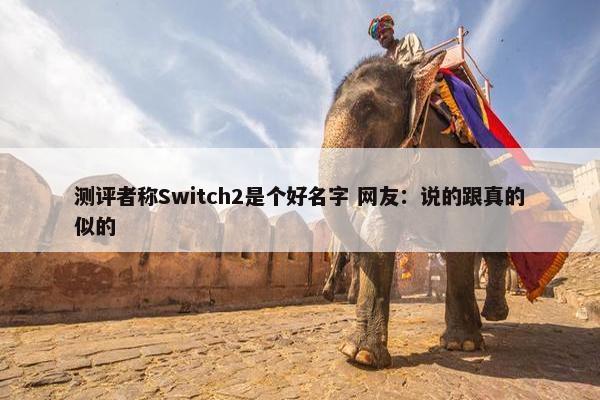 测评者称Switch2是个好名字 网友：说的跟真的似的