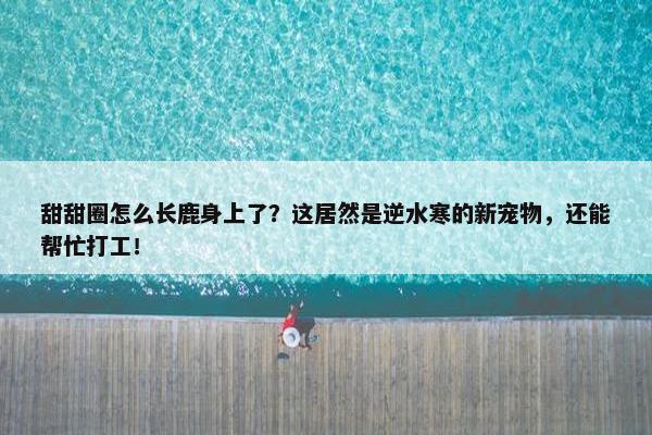 甜甜圈怎么长鹿身上了？这居然是逆水寒的新宠物，还能帮忙打工！