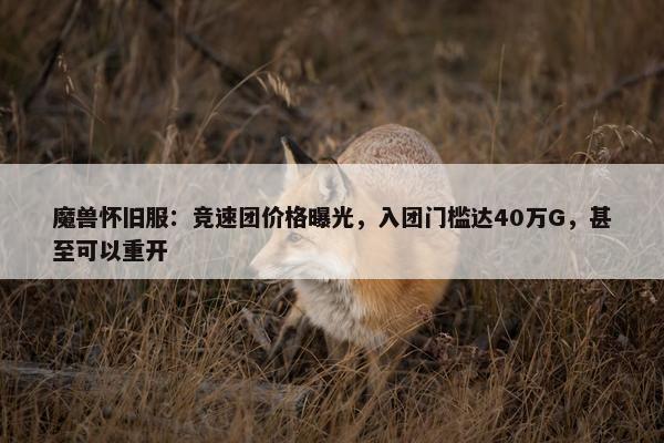 魔兽怀旧服：竞速团价格曝光，入团门槛达40万G，甚至可以重开