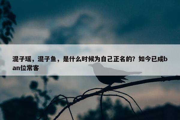 混子瑶，混子鱼，是什么时候为自己正名的？如今已成ban位常客