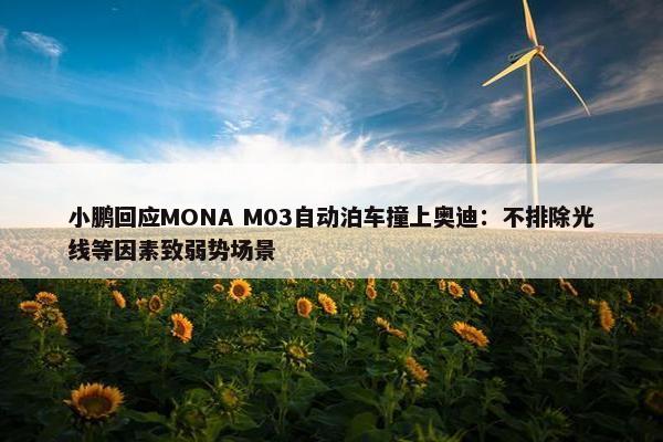 小鹏回应MONA M03自动泊车撞上奥迪：不排除光线等因素致弱势场景