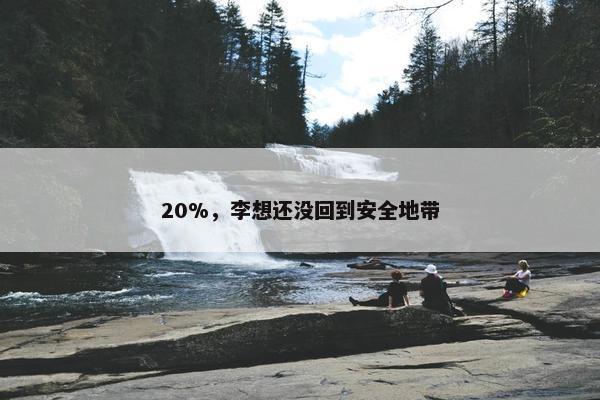 20%，李想还没回到安全地带