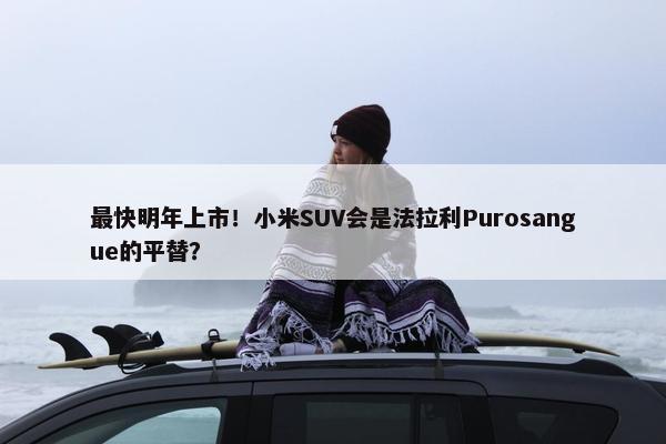 最快明年上市！小米SUV会是法拉利Purosangue的平替？