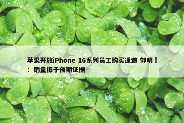 苹果开放iPhone 16系列员工购买通道 郭明錤：销量低于预期证据