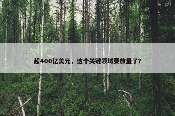 超400亿美元，这个关键领域要放量了？