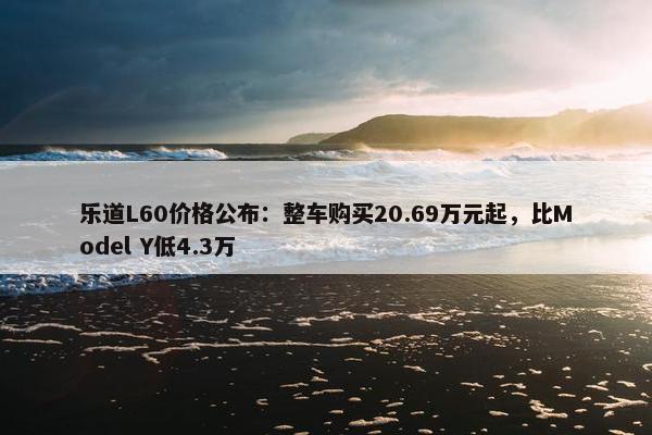 乐道L60价格公布：整车购买20.69万元起，比Model Y低4.3万